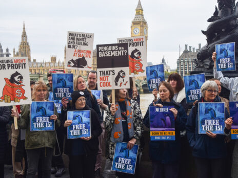 How London's penguins got political