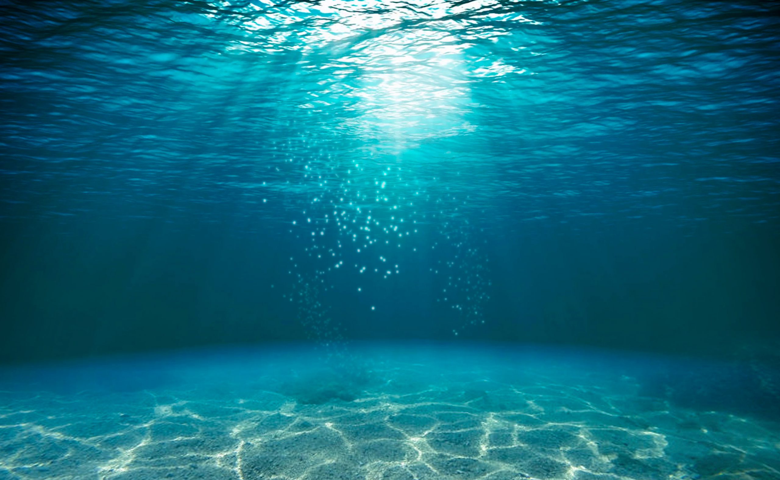 The road not taken: Margaret Drabble on the appeals of an underwater life